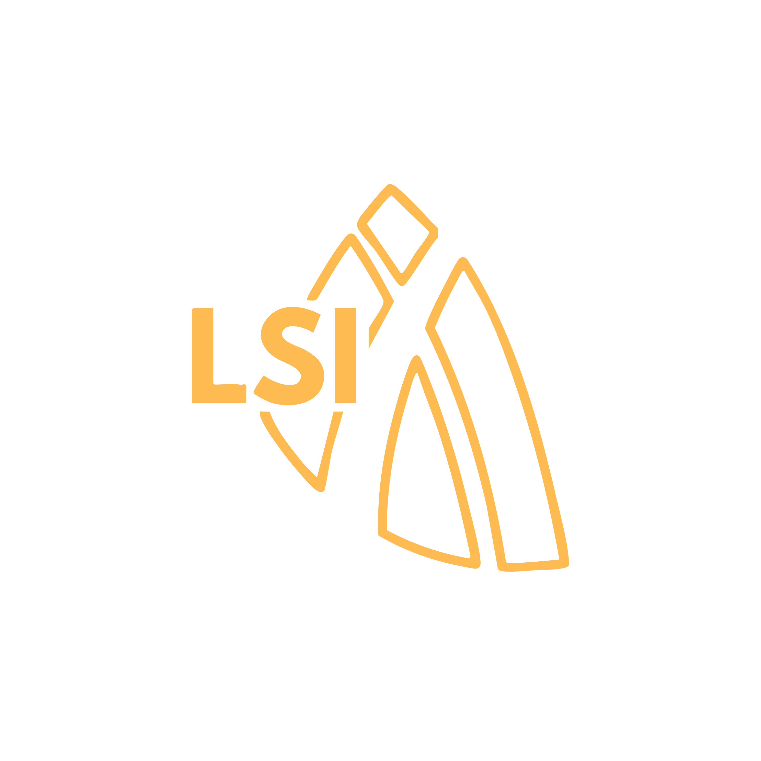 Logo LSI Marketing